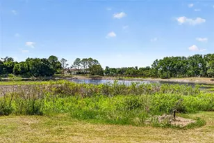 16330 Hanna Rd, Lutz, FL 33549 - Photo 3