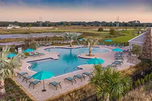 14841 Sterling Spur Ave, Lithia, FL 33547 - Photo 23