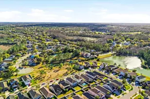 21223 Wistful Yearn Dr, Land O Lakes, FL 34637 - Photo 45