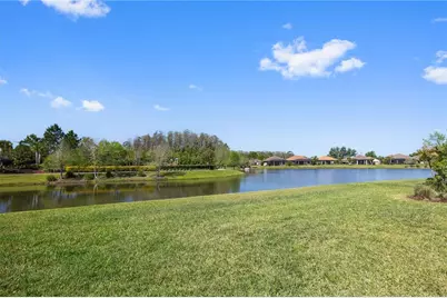 11414 Juglans Drive, Odessa, FL 33556 - Photo 37