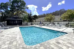 3471 Fox Hunt Dr, Palm Harbor, FL 34683 - Photo 45