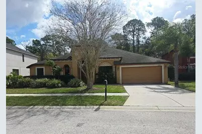 10820 Rain Lilly Pass, Land O Lakes, FL 34638 - Photo 1