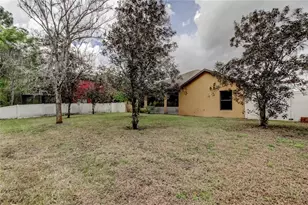 10820 Rain Lilly Pass, Land O Lakes, FL 34638 - Photo 41
