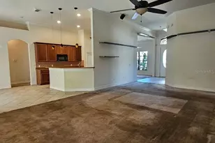 10820 Rain Lilly Pass, Land O Lakes, FL 34638 - Photo 3