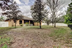 10820 Rain Lilly Pass, Land O Lakes, FL 34638 - Photo 39