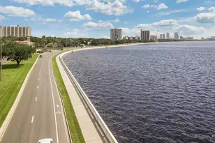 6605 N Nebraska Ave, Tampa, FL 33604 - Photo 11