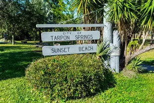617 Windrush Bay Dr, Tarpon Springs, FL 34689 - Photo 55