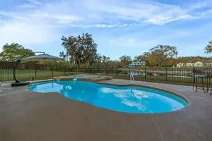 1710 Newberger Rd, Lutz, FL 33549 - Photo 87