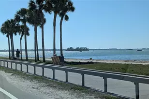 7 Dunoon Pl, Dunedin, FL 34698 - Photo 45