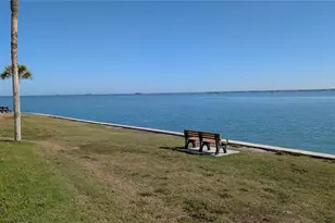 7 Dunoon Pl, Dunedin, FL 34698 - Photo 21