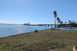 7 Dunoon Pl, Dunedin, FL 34698 - Photo 37
