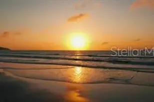 13054 Violet Flame Ave, Wimauma, FL 33598 - Photo 75