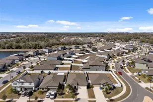 10387 Scarlet Skimmer Dr, Riverview, FL 33578 - Photo 55