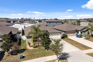 10387 Scarlet Skimmer Dr, Riverview, FL 33578 - Photo 61