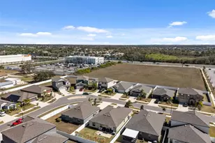 10387 Scarlet Skimmer Dr, Riverview, FL 33578 - Photo 61