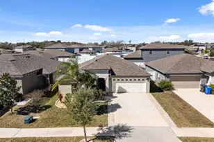 10387 Scarlet Skimmer Dr, Riverview, FL 33578 - Photo 59