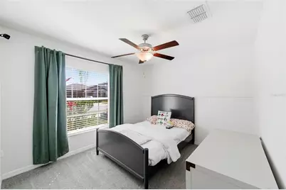 10387 Scarlett Skimmer Drive, Riverview, FL 33578 - Photo 5