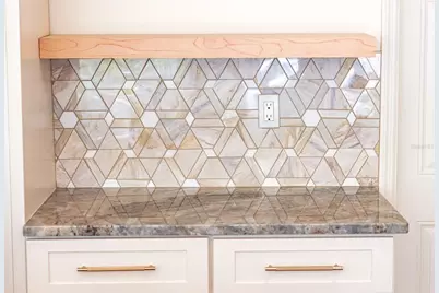 4211 W Bay View Avenue, Tampa, FL 33611 - Photo 7