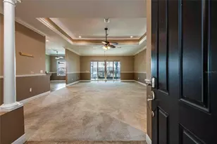 6716 Magnolia Point Dr, Land O Lakes, FL 34637 - Photo 9