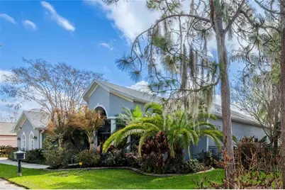 6716 Magnolia Point Drive, Land O Lakes, FL 34637 - Photo 9