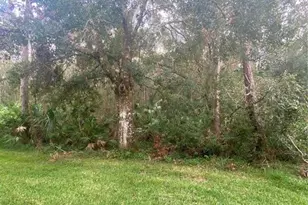 8547 Hunters Key Cir, Tampa, FL 33647 - Photo 25