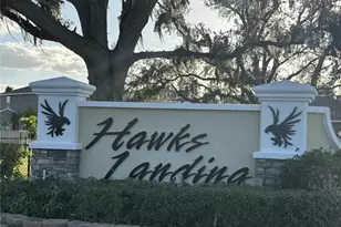 903 Zone Tailed Hawk Pl, Ruskin, FL 33570 - Photo 3