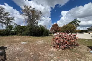 4210 Riverhills Dr, Tampa, FL 33617 - Photo 31