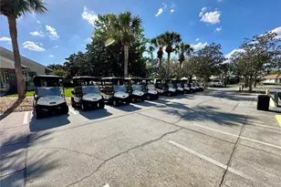 8137 Ponkan Rd, Land O Lakes, FL 34637 - Photo 47