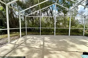 8137 Ponkan Rd, Land O Lakes, FL 34637 - Photo 35