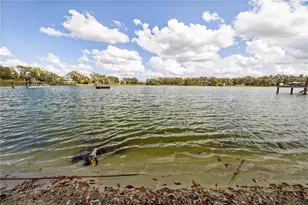 4019 Moores Lake Rd, Dover, FL 33527 - Photo 63