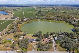 4019 Moores Lake Rd, Dover, FL 33527 - Photo 65