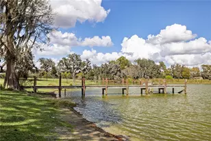 4019 Moores Lake Rd, Dover, FL 33527 - Photo 35