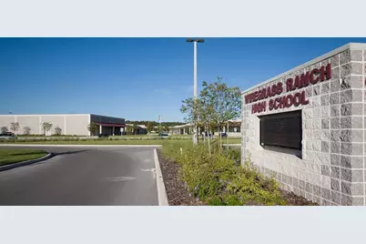 3347 Yellow Cassia Drive, Wesley Chapel, FL 33543 - Photo 9