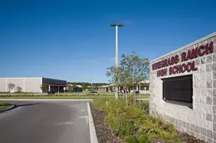 3347 Yellow Cassia Dr, Wesley Chapel, FL 33543 - Photo 9