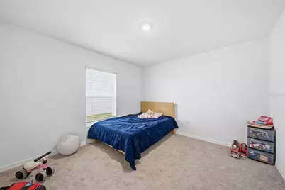 3189 Living Coral Street, Wimauma, FL 33598 - Photo 27