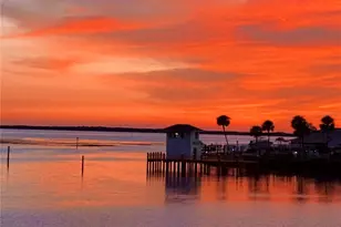 433 S Paula Dr, Dunedin, FL 34698 - Photo 27