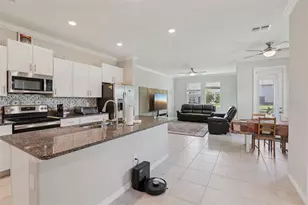 32010 Blue Passing Loop, Wesley Chapel, FL 33545 - Photo 7