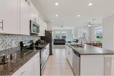 32010 Blue Passing Loop, Wesley Chapel, FL 33545 - Photo 9