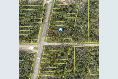 7430 Treiman Boulevard, Webster, FL 33597 - Photo 7