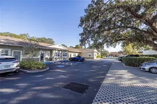 801 2nd St N, Safety Harbor, FL 34695 - Photo 27