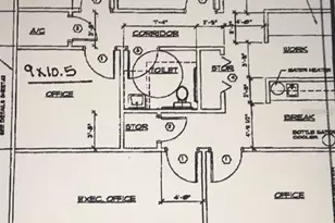 801 2nd St N, Safety Harbor, FL 34695 - Photo 9