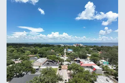 801 2nd Street N #C, Safety Harbor, FL 34695 - Photo 39