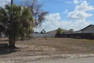 3029 NE Juanita Pl NE, Cape Coral, FL 33909 - Photo 3