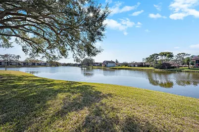 141 Lakeview Way, Oldsmar, FL 34677 - Photo 9