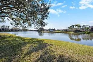 141 Lakeview Way, Oldsmar, FL 34677 - Photo 9