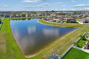 920 Peregrine Hill Pl, Ruskin, FL 33570 - Photo 61