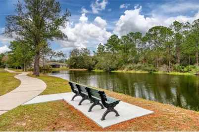 12927 Royal George Avenue, Odessa, FL 33556 - Photo 53