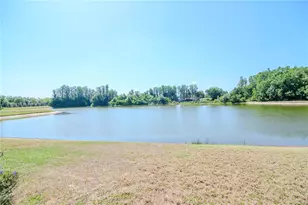 3814 Evergreen Oaks Dr, Lutz, FL 33558 - Photo 7