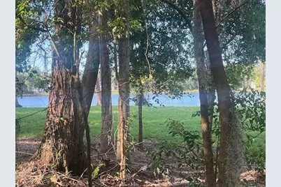 16406 Lake Byrd Drive, Tampa, FL 33618 - Photo 13