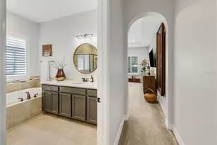 29494 Picana Ln, Wesley Chapel, FL 33543 - Photo 19